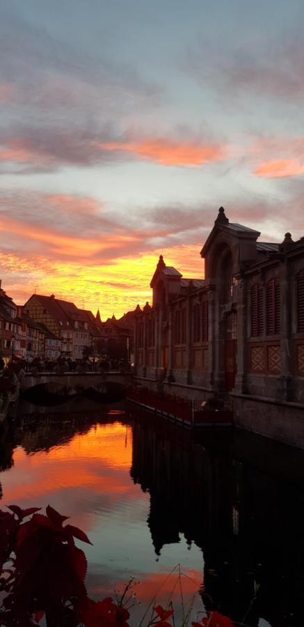 New ! Vue Petite Venise, Place To Be - Parking コルマール エクステリア 写真